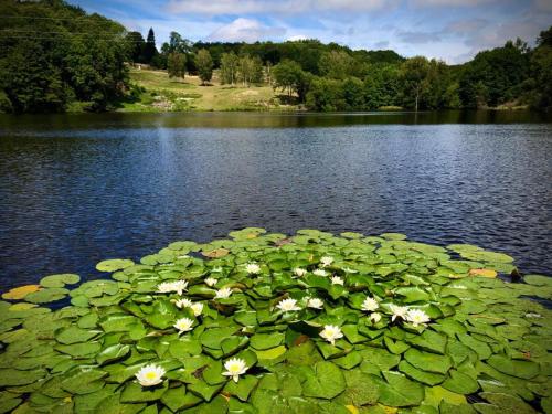 Private lake & gite surrounded by acres of nature : Maisons de vacances proche de Soubrebost