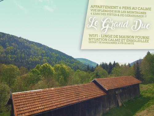 ⁂⁂ LE GRAND DUC Appartement [CLEDICIHOME] / Magnifique vue sur les montagnes / 4 KMs DE GERARDMER ! ⁂⁂ : Appartements proche de Rochesson