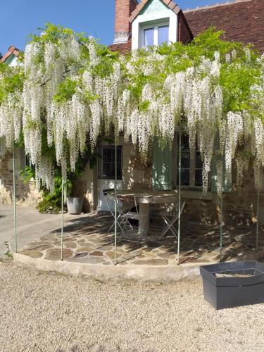 Chambres d'hôtes,  au coeur de la nature, et du calme : B&B / Chambres d'hotes proche de Saint-Rémy-sur-Creuse