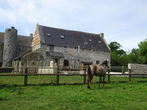 Country house on a beautiful medieval estate : Maisons de vacances proche de Saint-Sauveur-de-Pierrepont