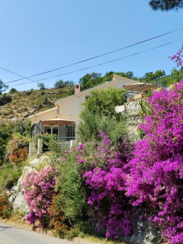 La Vallicella : Maisons de vacances proche de Farinole