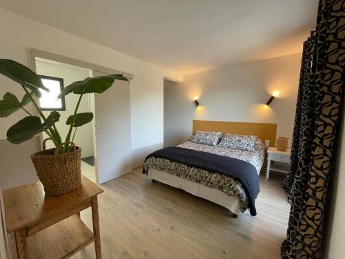 Appartement neuf et moderne au cœur de la Camargue : Maisons de vacances proche de Saint-Laurent-d'Aigouze