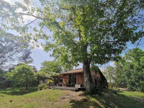 Maison bois au coeur de la nature. 2ha de terrain. Etangs : Maisons de vacances proche de Vielle-Saint-Girons