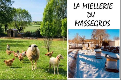 La Miellerie du Massegros : Sejours a la ferme proche de Laval-du-Tarn