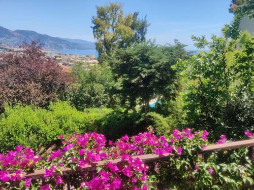 Charming little house, sea view and big terrace : Maisons de vacances proche de Roquebrune-Cap-Martin