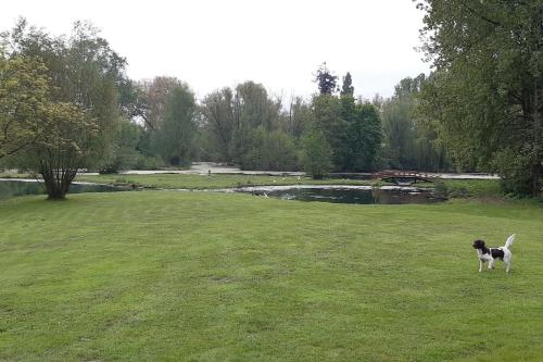Adorable maison d’hôtes bordée d’étangs au calme. : Maisons de vacances proche de Pozières