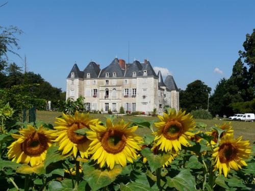 Château de Piolant : B&B / Chambres d'hotes proche de Leugny