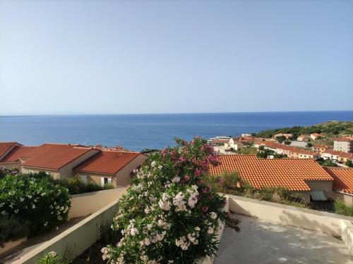 les angéliques vue panoramique sur la méditerranée : Appartements proche de Port-Vendres