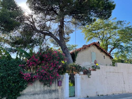 Villa LEONA : Maisons d'hotes proche de Bollène