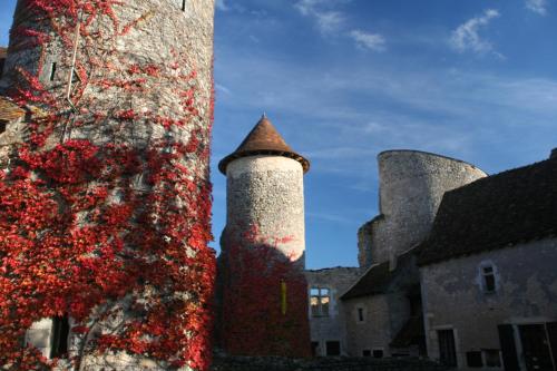 Chateau d'Ingrandes : B&B / Chambres d'hotes proche de Saint-Savin