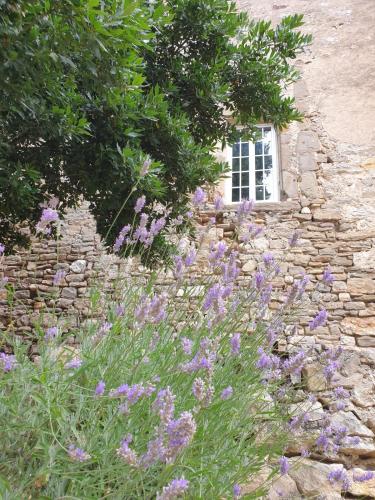 Partie de Château du XI ieme à Canet d'Aude : Villas proche de Canet