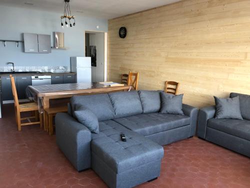 appartement 12 couchages proche piste ski et de randonnées du lioran : Appartements proche de Saint-Jacques-des-Blats