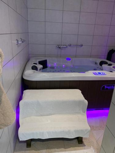 appartement avec Jacuzzi hammam sauna privatisé au rez de chaussée ds maison à Voglans à 2 kilomètres du lac du bourget en Savoie entre Chambéry et Aix les Bains cure thermale : Appartements proche de Méry