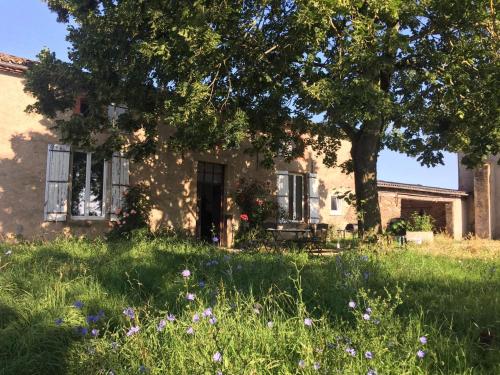 Chambres d'hôtes Les Pieds dans l'herbe : Maisons d'hotes proche de Saint-Julien-Gaulène