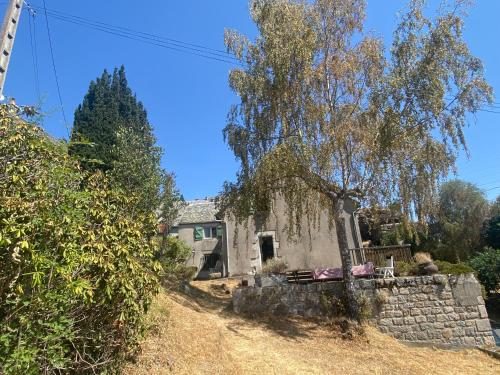 Maison de village avec terrasse et jardin Saint Urcize : Maisons de vacances proche de Sainte-Colombe-de-Peyre