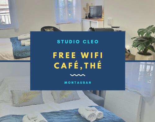 Studio Cléo : Appartements proche de Meauzac