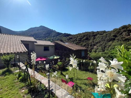 La Fontchaude (Cabrespine) : Maisons de vacances proche de Citou