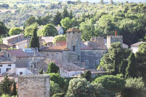 Chateau Dagel Exclusive rental 11 people : Maisons de vacances proche de Bize-Minervois