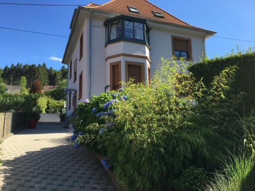 Les hortensias en Alsace - meublé de tourisme 3 étoiles : Appartements proche de Bellefosse