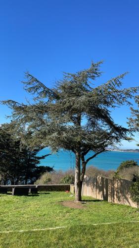 Maison vue exeptionnelle sur la mer : Villas proche de Saint-Jacut-de-la-Mer