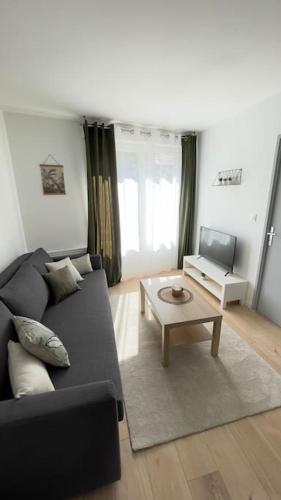 Appartement cosy et lumineux accès centre Orléans : Appartements proche de Saint-Jean-de-Braye