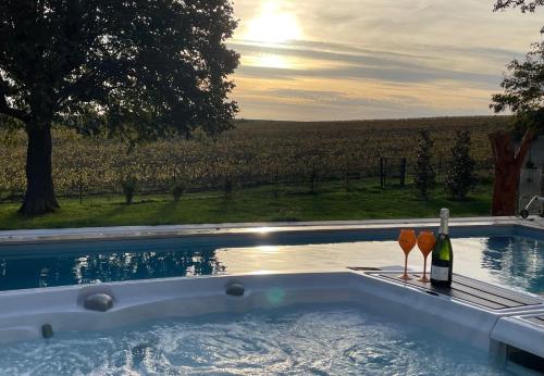 Best view and spa on the Champagne vineyard : Appartements proche de Courcy
