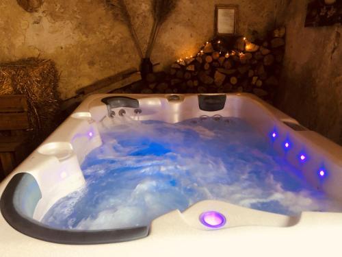 Lilly & Cie : jacuzzi - sauna -piscine : Appartements proche d'Oyes