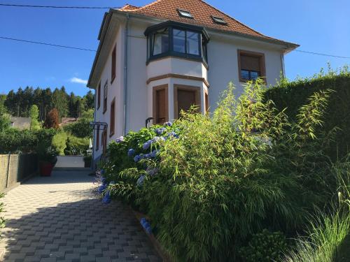 Les magnolias en Alsace - meublé de tourisme 3 étoiles : Appartements proche de Schirmeck
