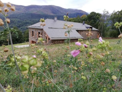Ferme d'alpage grand confort sur 3ha dans un cadre naturel : Maisons de vacances proche de Tarascon-sur-Ariège