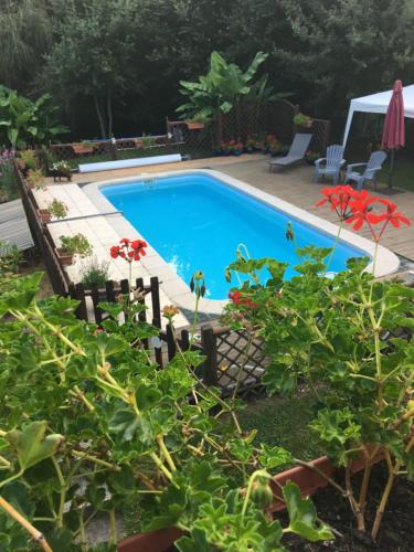 French Pyrenees luxury : Maisons de vacances proche de Ganac
