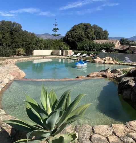 Maison L'Oranger avec piscine - Domaine E Case di Cuttoli : Maisons de vacances proche d'Eccica-Suarella
