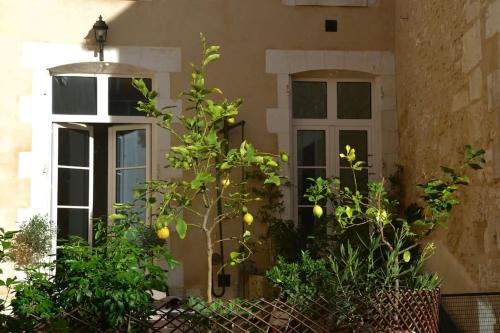 Maison des Pilastres au cœur d'Auxerre : Maisons de vacances proche de Jussy