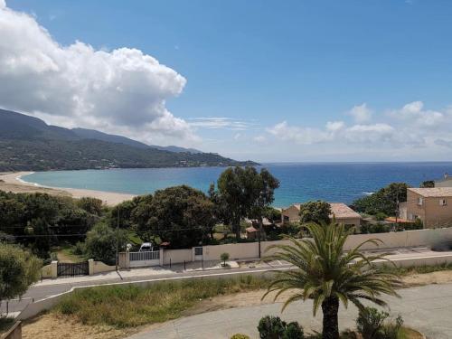F2, climatisé, vue mer, 100 m de la plage : Appartements proche de Casaglione