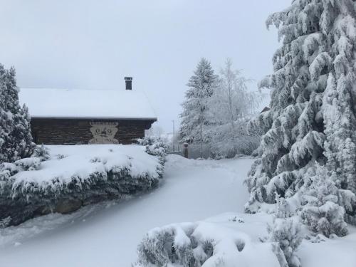 Lyshytta : Maisons de vacances proche de Thuès-Entre-Valls