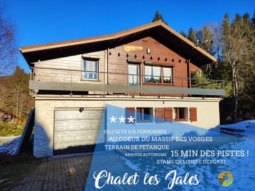 Chalet les Jales 15 min des pistes au calme avec étang ! : Chalets proche d'Arrentès-de-Corcieux