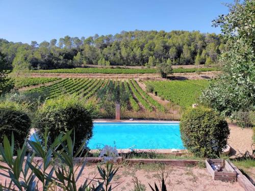 Le Figuier, suite en plein vignoble provençal : Appartements proche d'Entrecasteaux