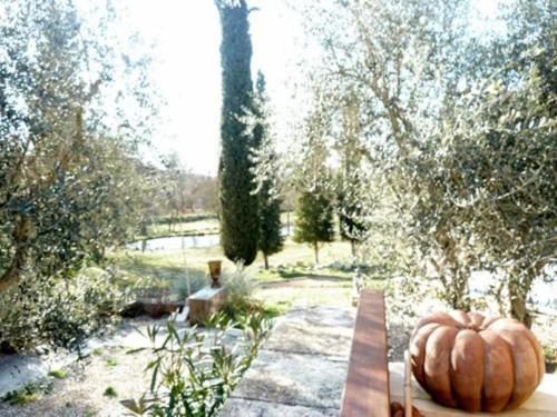 Charming cocoon 100sqm for 4p with infinity pool : Villas proche de Valbonne