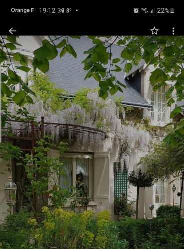 Chambres d'hôtes Jardin D'ivoire : B&B / Chambres d'hotes proche de Saint-Gervais-la-Forêt