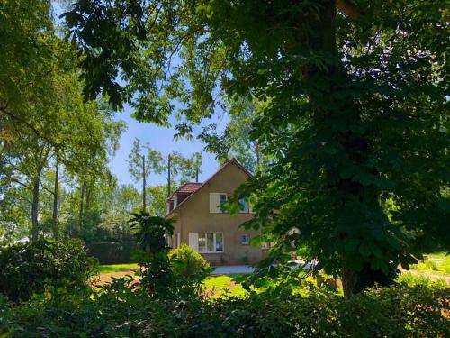 Villa Marie-Lou entièrement rénovée : Villas proche de Bimont