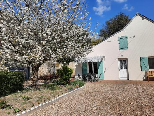 Gîte Le Petit Anzan en Indre et Loire : Maisons d'hotes proche de Noizay