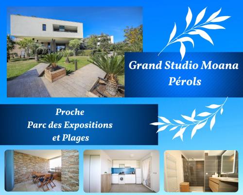 Grand Studio Moana proche Parc Exposition et Plages : Appartements proche de Pérols