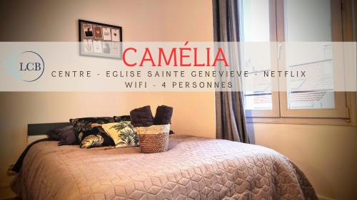 Havre de Paix - Camélia : Appartements proche de Sacy
