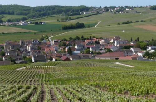 La Longère de Vin-Ay : Appartements proche de La Chapelle-sous-Orbais