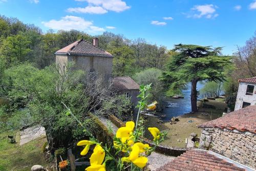 Le Moulin de Froment 2 gîtes de 8 et de 12 couchages, 10 min du Puy du Fou : Maisons de vacances proche de Treize-Vents