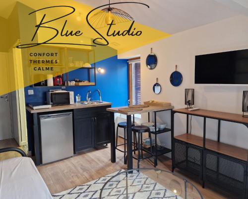 Blue Studio Confort et Thermes : Appartements proche de Royat
