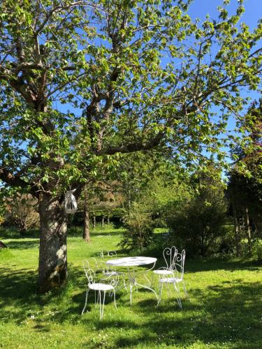Au Domaine des Oiseaux ses chambres sa gloriette insolite face à l'étang bucolique : Maisons d'hotes proche de Saint-Crépin