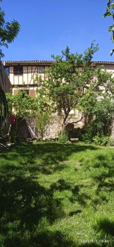 500 year old apartment! : Appartements proche de Limoux