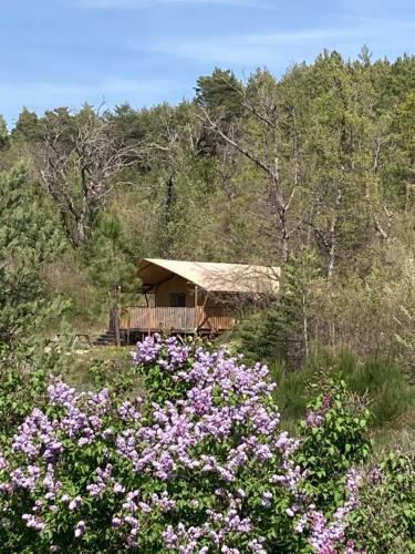 La Grisonne - Ecolodges : Tentes de luxe proche de Lachau