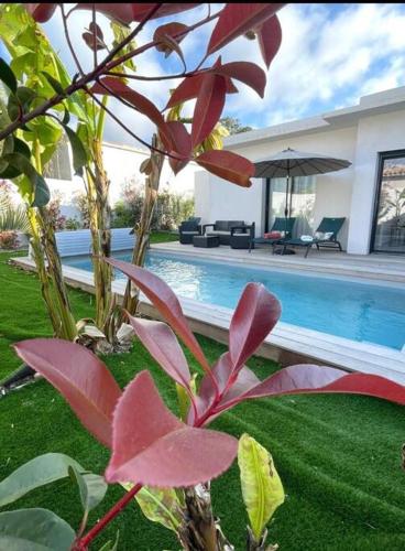 Superbe villa avec piscine privative chauffée : Villas proche de Lecci