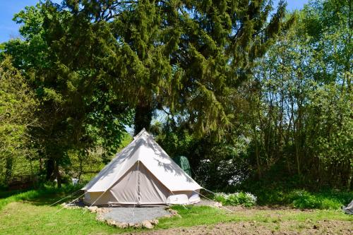 L-Angeberdière - Tente nature au calme : Tentes de luxe proche de Vieuvy